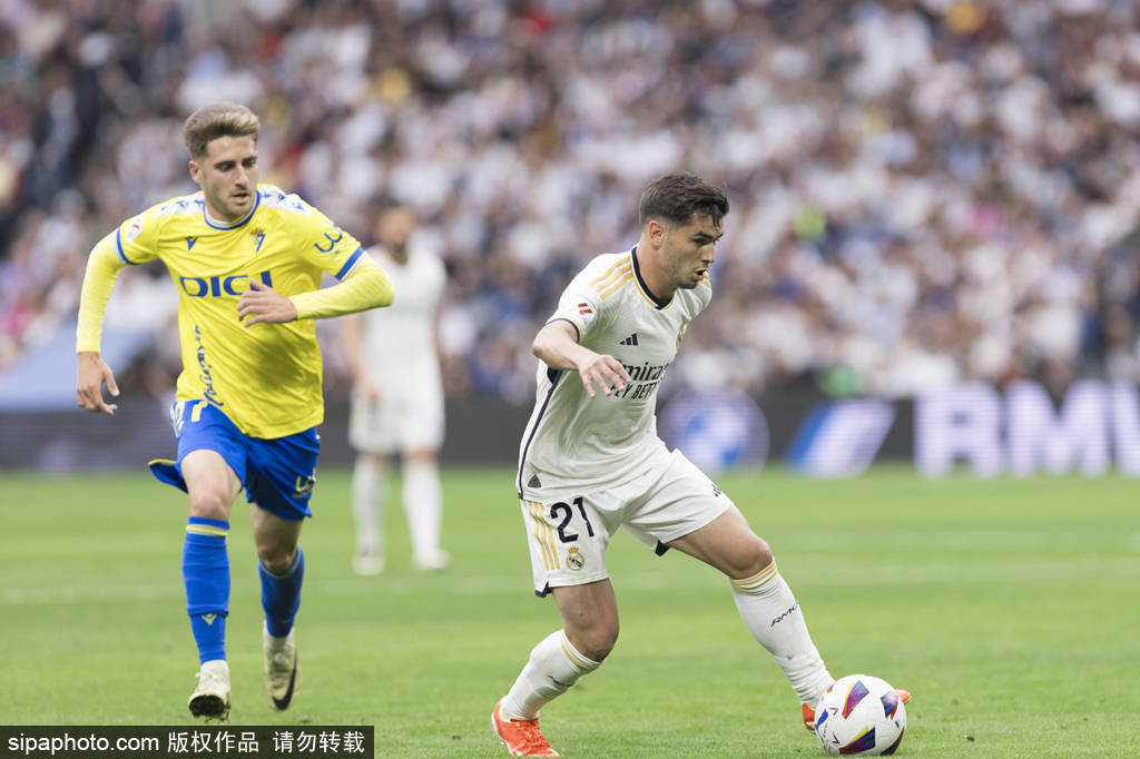 他們依靠高 他們依靠高