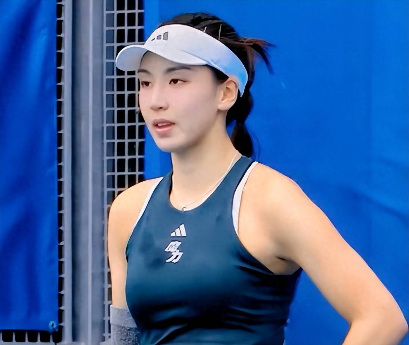 或许没有高 或许没有高